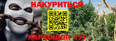прущие крисы Беслан