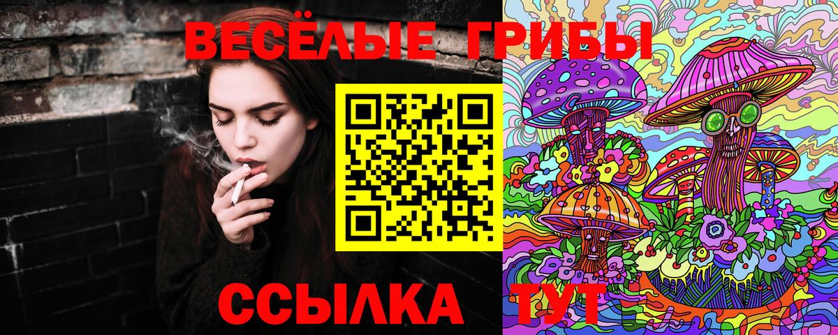 Галлюциногенные грибы Psilocybe  Вход с VPN  Клин 